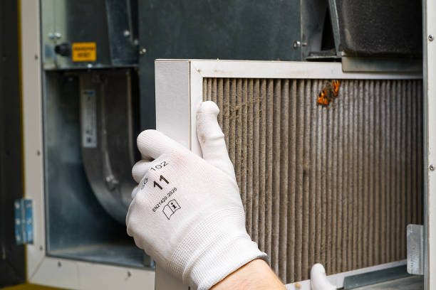 Best Air Duct Cleaning Company Near Me  in Washoe Valley, NV
